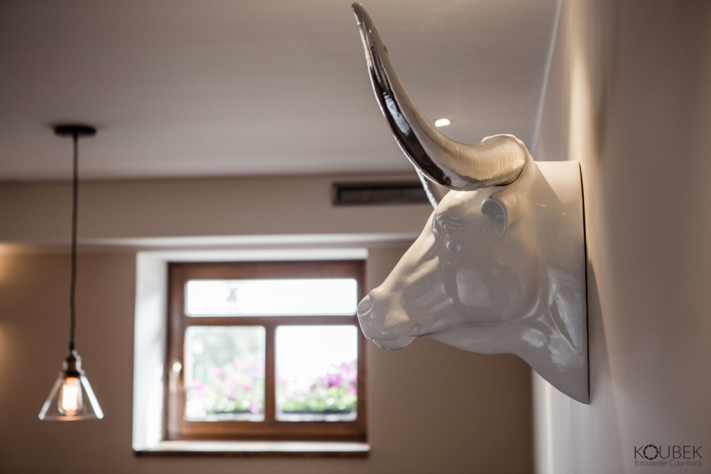 Barbora Sacher: Horská restaurace, Hlava býka na zadní stěně